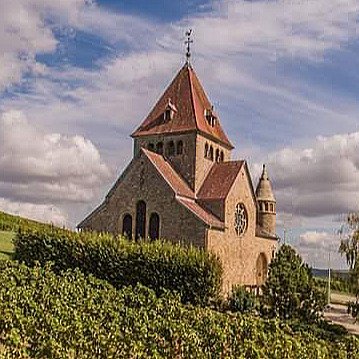 Wandern und Radfahren rund um Gau-Bickelheim
